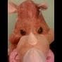 cristoforo20's Avatar