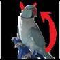 igor30's Avatar