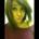 rocco33's Avatar