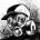 NicholasManningtree's Avatar