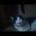 Edward35's Avatar